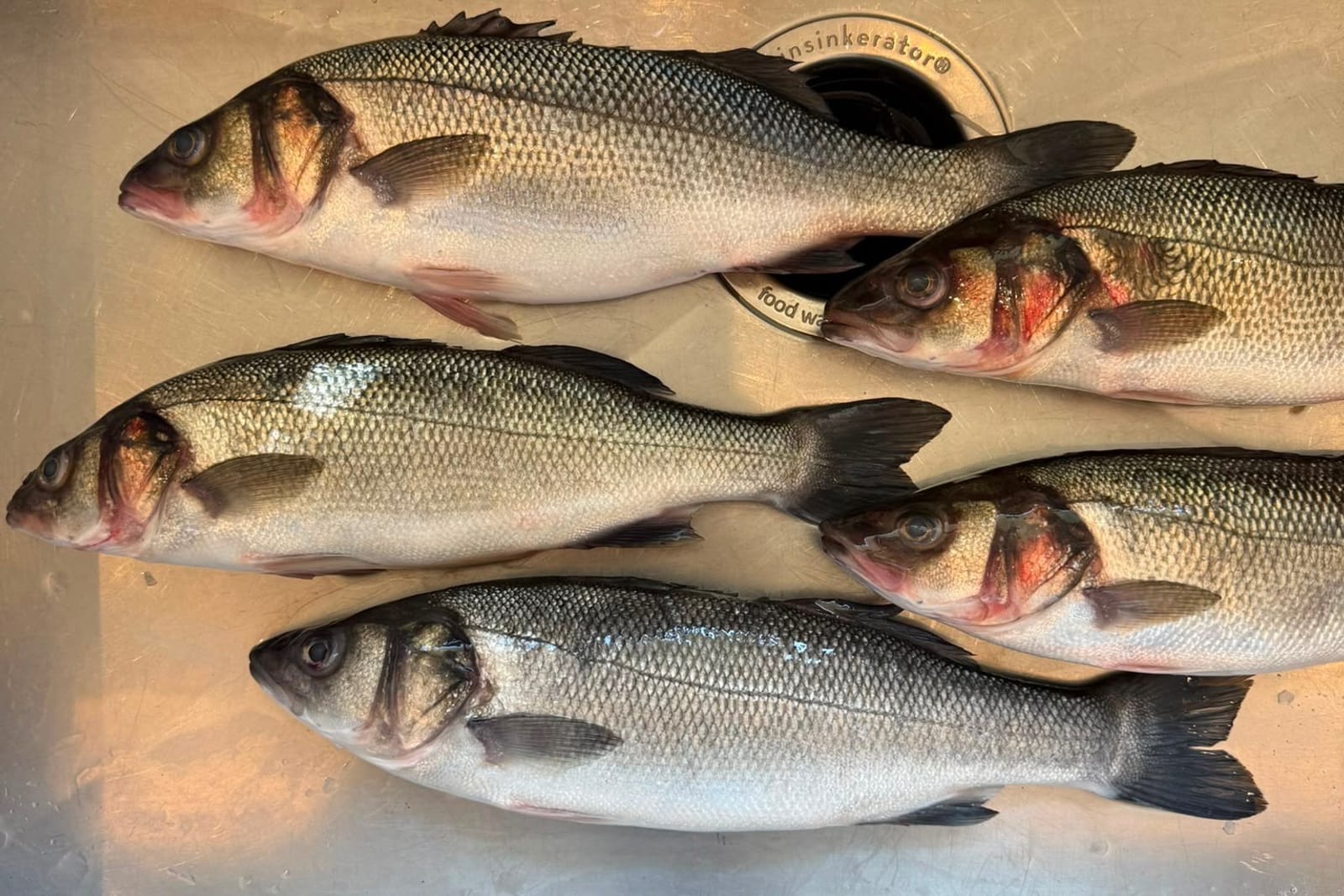 Sélection du poisson chez le poissonnier